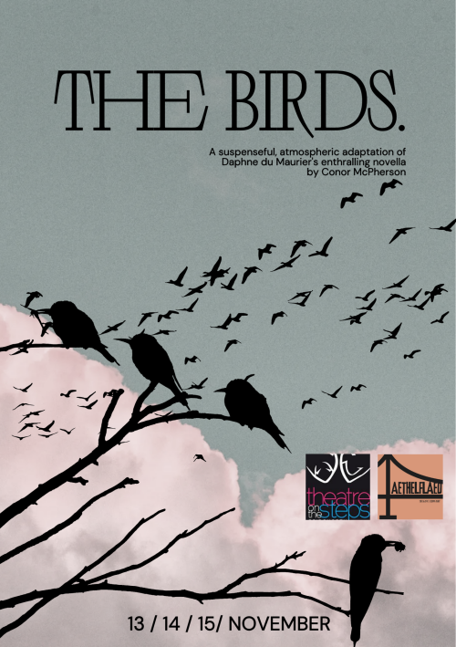 Poster for The Birds at Theatre on the Steps 13-15 November 2025